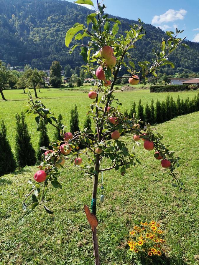 Apartment - Ferienwohnung 1 Treffen Am Ossiachersee מראה חיצוני תמונה
